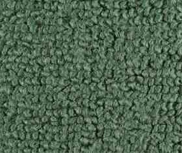 Carpet 1956 ford pickup