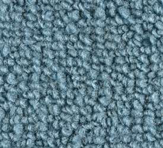 Ford torino carpet #10